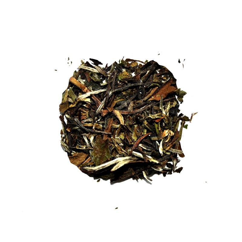 Té Pai Mutan Té Pai Mutan