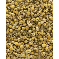 MANZANILLA